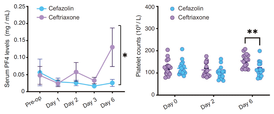 Ceftriaxone抑制C3上調(diào)、維持PF4水平，發(fā)揮認(rèn)知保護(hù)作用